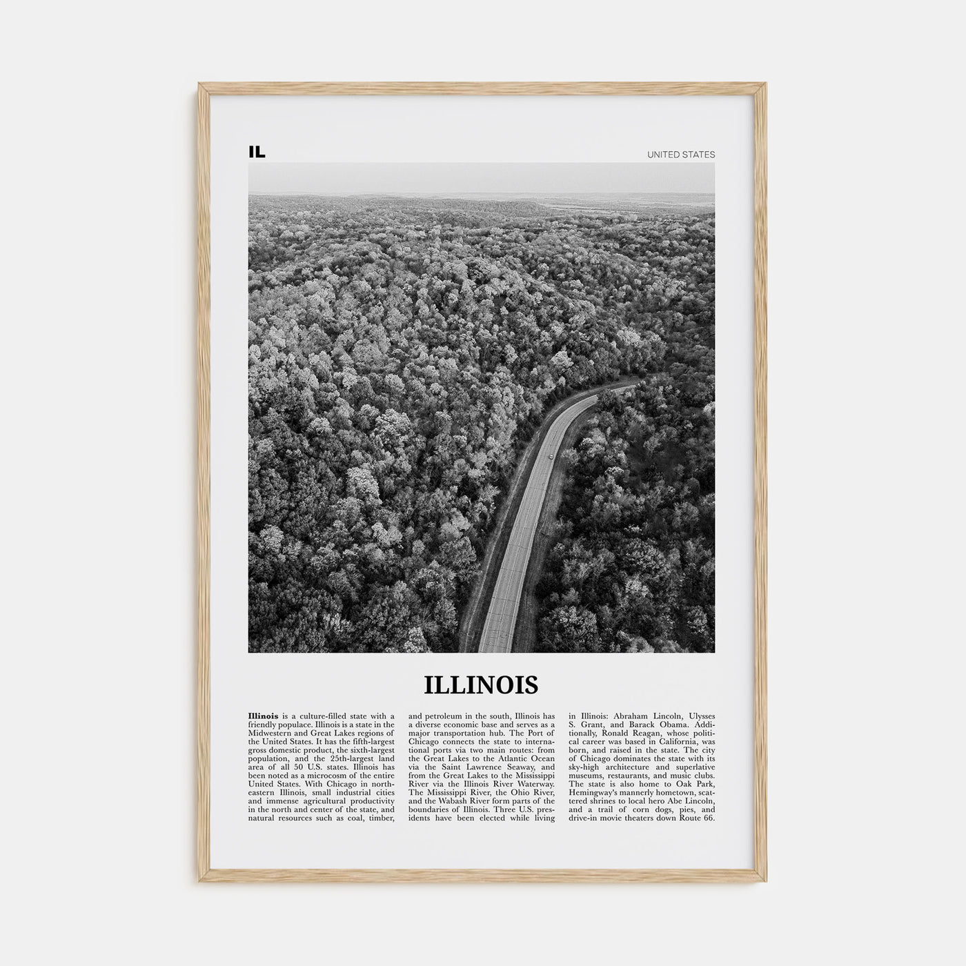 Illinois Travel B&W No 2 Poster