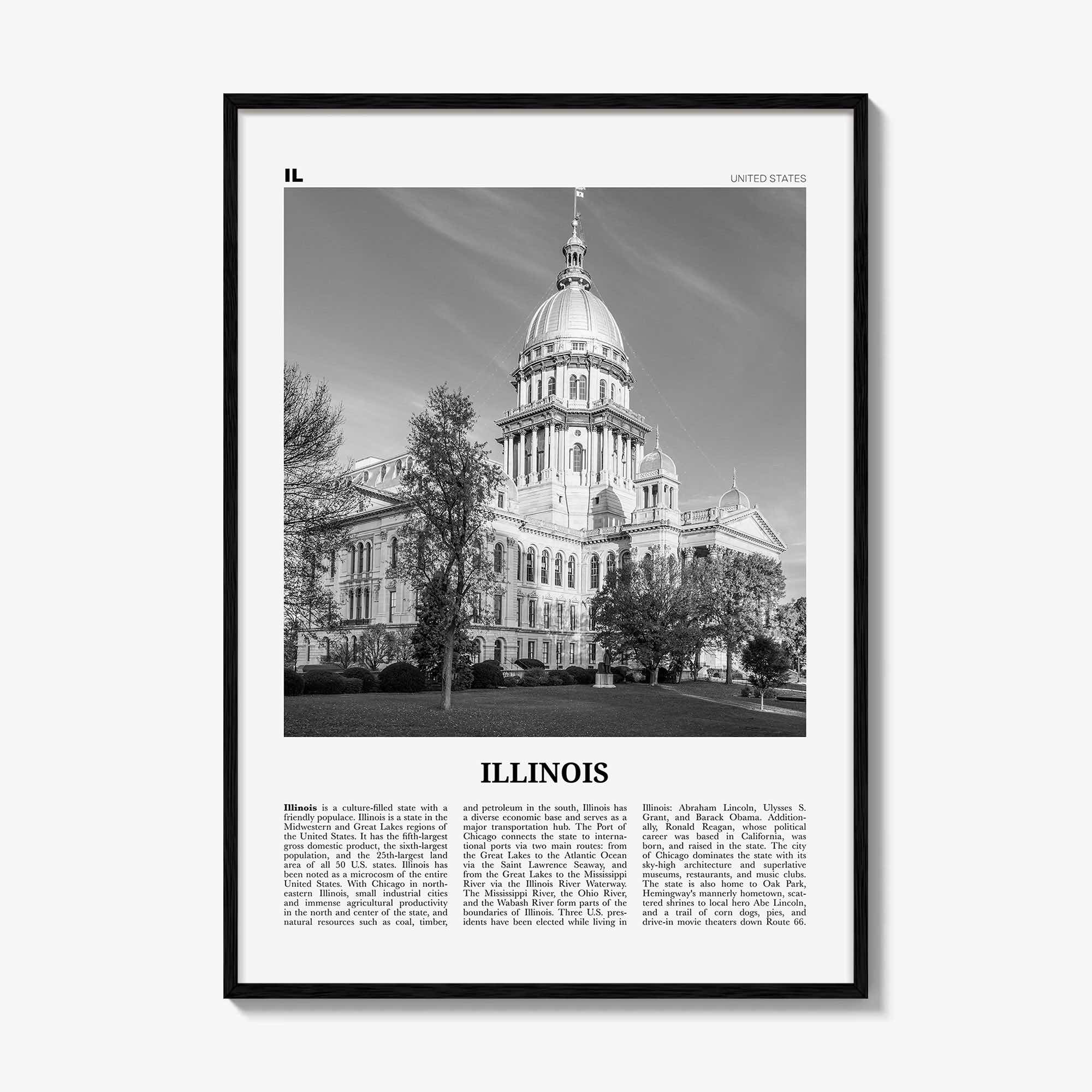 Illinois Print Black and White No 3, Illinois Wall Art, Illinois Poster, Illinois Photo, Illinois Wall Decor, USA, United States, America