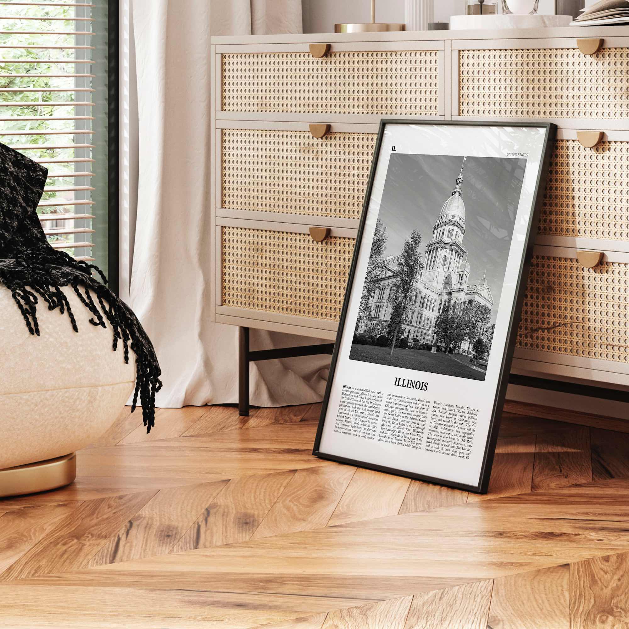 Illinois Print Black and White No 3, Illinois Wall Art, Illinois Poster, Illinois Photo, Illinois Wall Decor, USA, United States, America