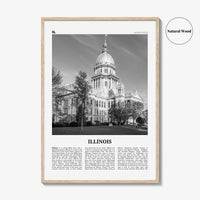 Illinois Print Black and White No 3, Illinois Wall Art, Illinois Poster, Illinois Photo, Illinois Wall Decor, USA, United States, America