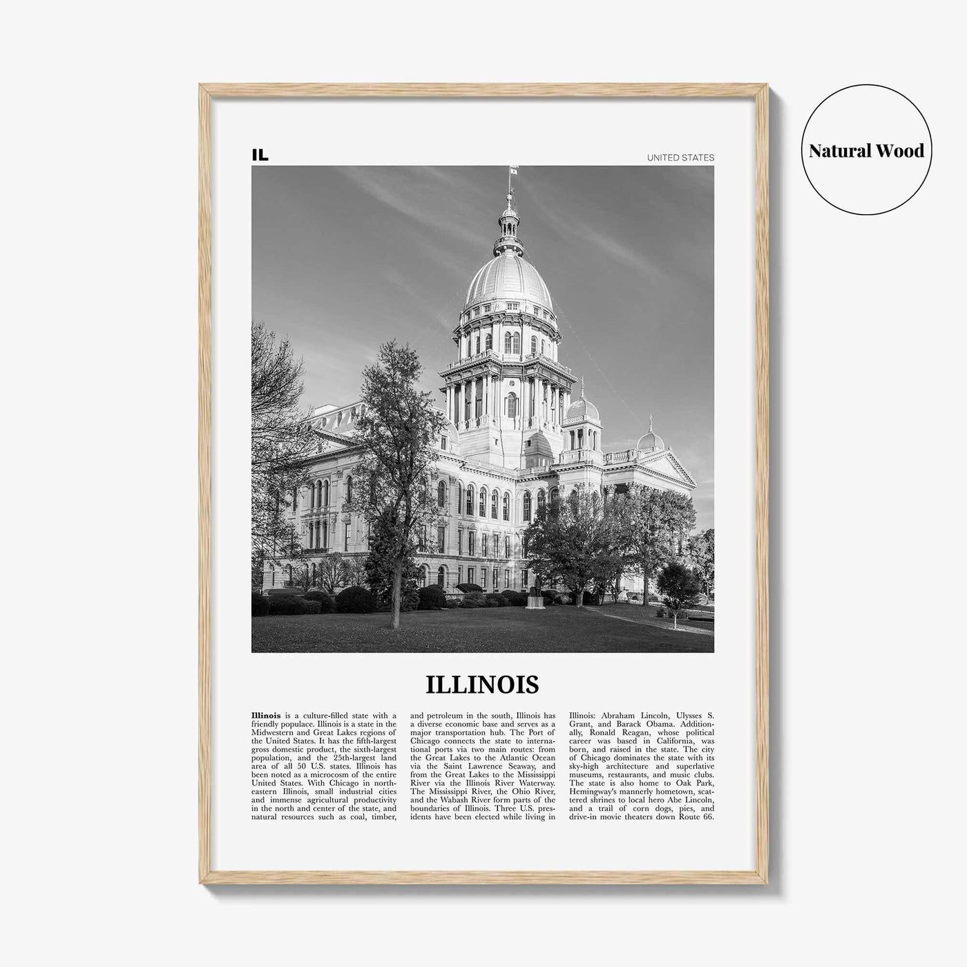 Illinois Print Black and White No 3, Illinois Wall Art, Illinois Poster, Illinois Photo, Illinois Wall Decor, USA, United States, America