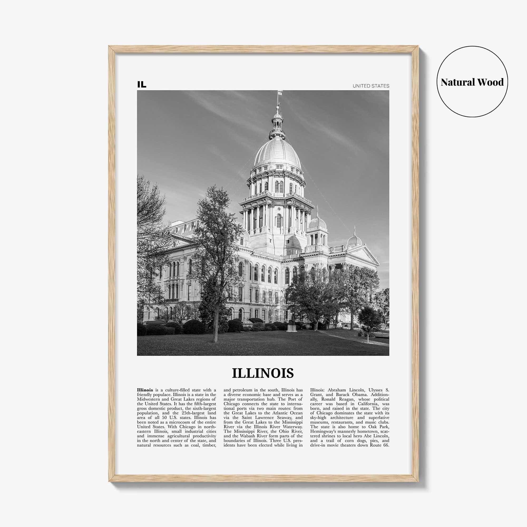 Illinois Print Black and White No 3, Illinois Wall Art, Illinois Poster, Illinois Photo, Illinois Wall Decor, USA, United States, America