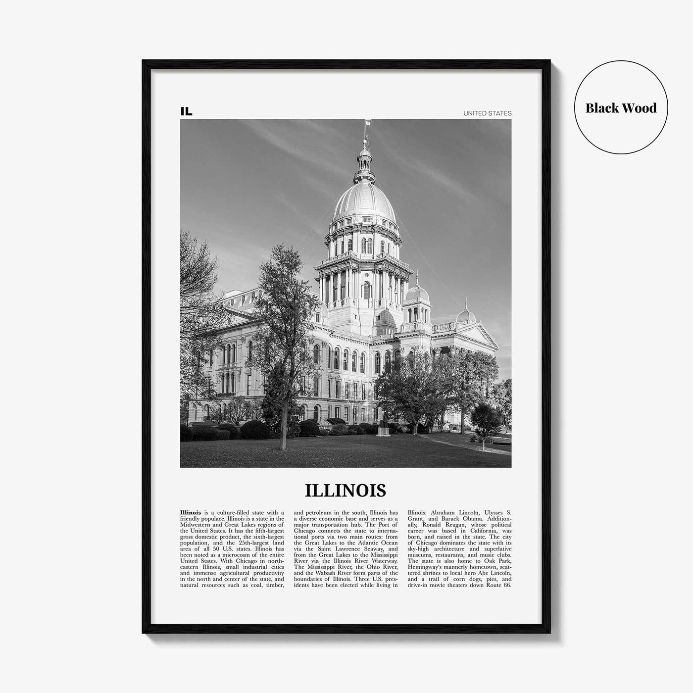 Illinois Print Black and White No 3, Illinois Wall Art, Illinois Poster, Illinois Photo, Illinois Wall Decor, USA, United States, America