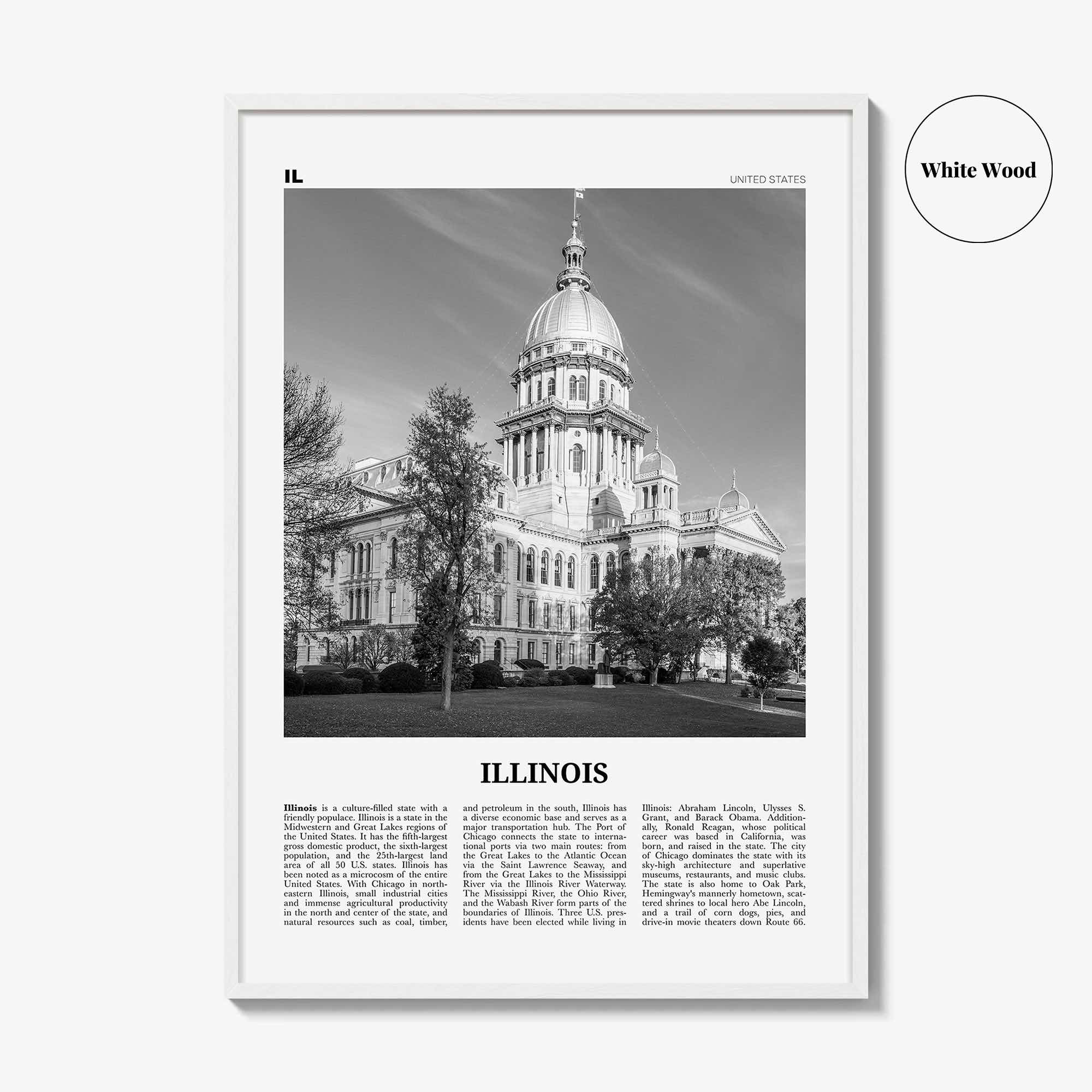 Illinois Print Black and White No 3, Illinois Wall Art, Illinois Poster, Illinois Photo, Illinois Wall Decor, USA, United States, America