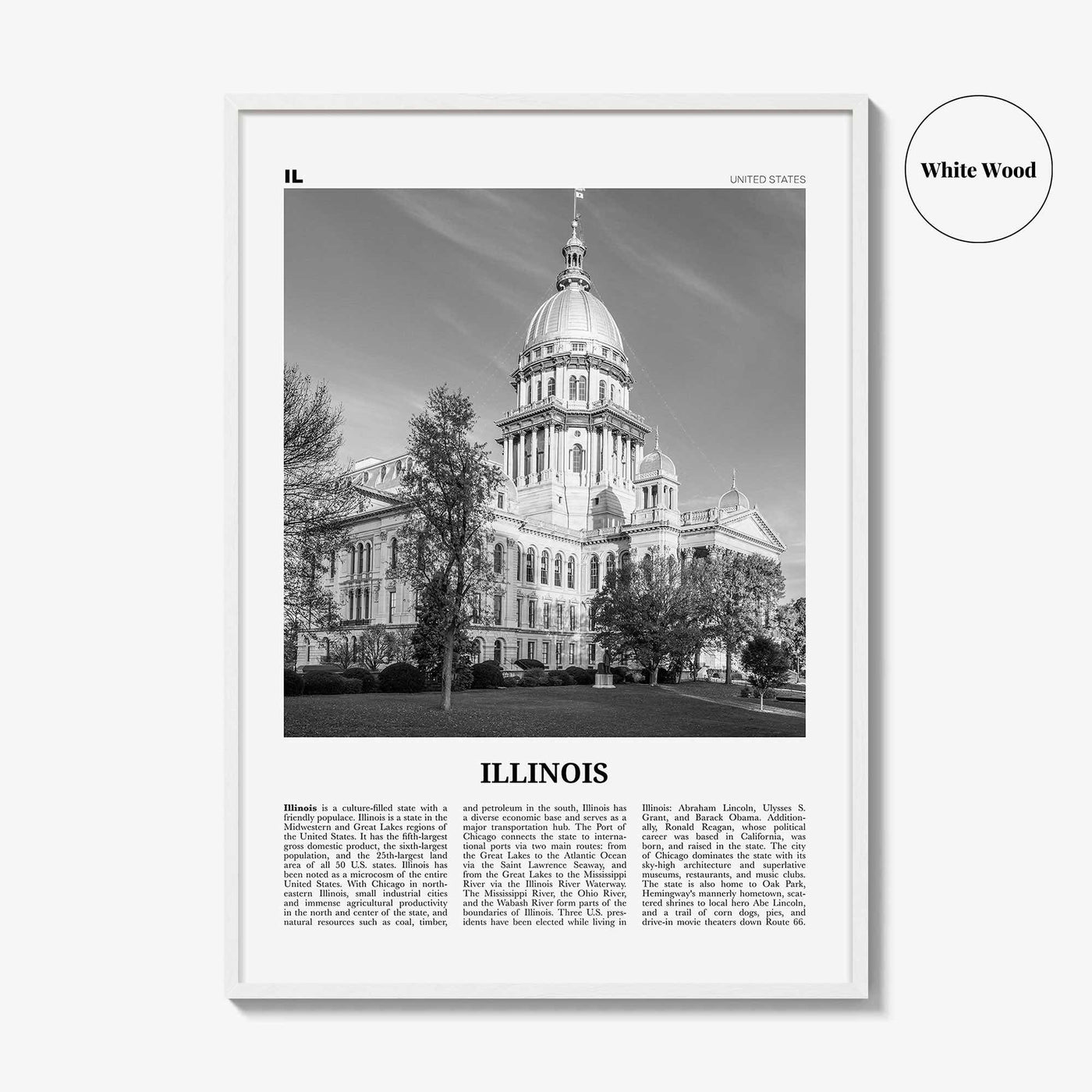 Illinois Print Black and White No 3, Illinois Wall Art, Illinois Poster, Illinois Photo, Illinois Wall Decor, USA, United States, America