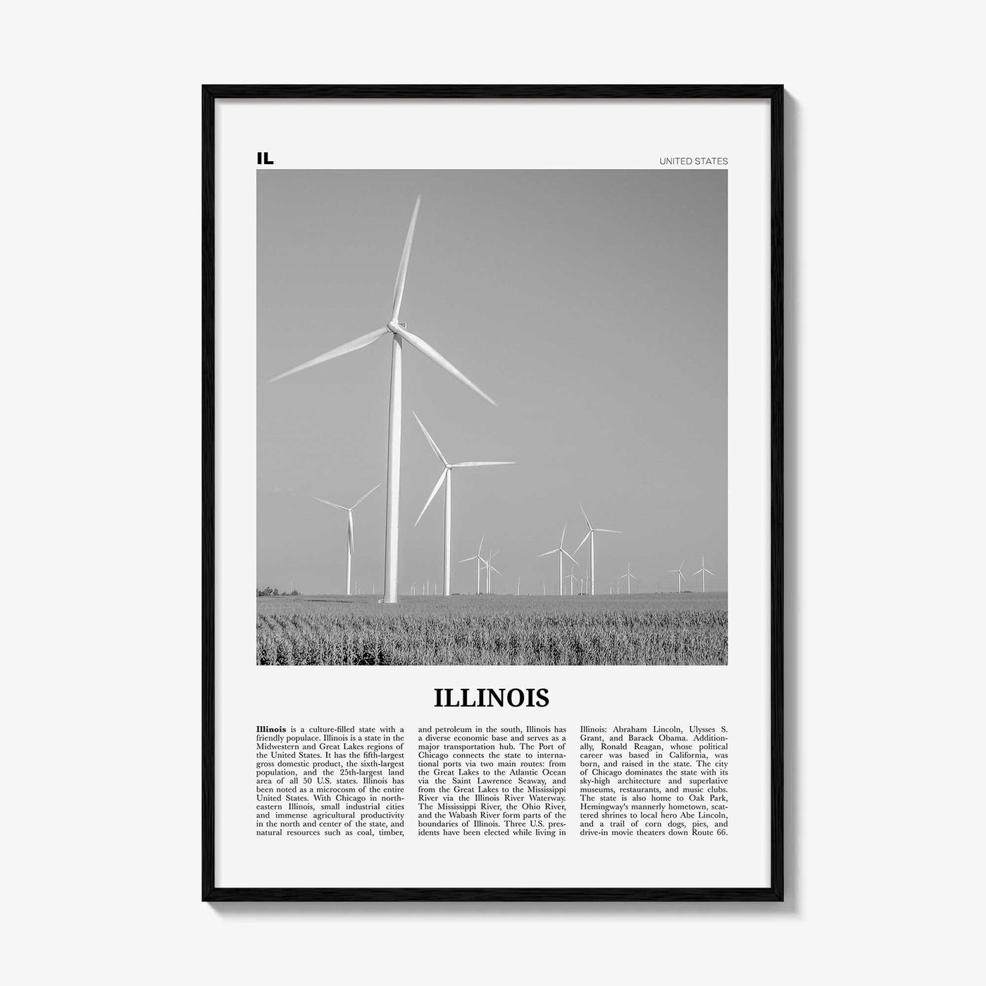 Illinois Print Black and White No 5, Illinois Wall Art, Illinois Poster, Illinois Photo, Illinois Wall Decor, USA, United States, America