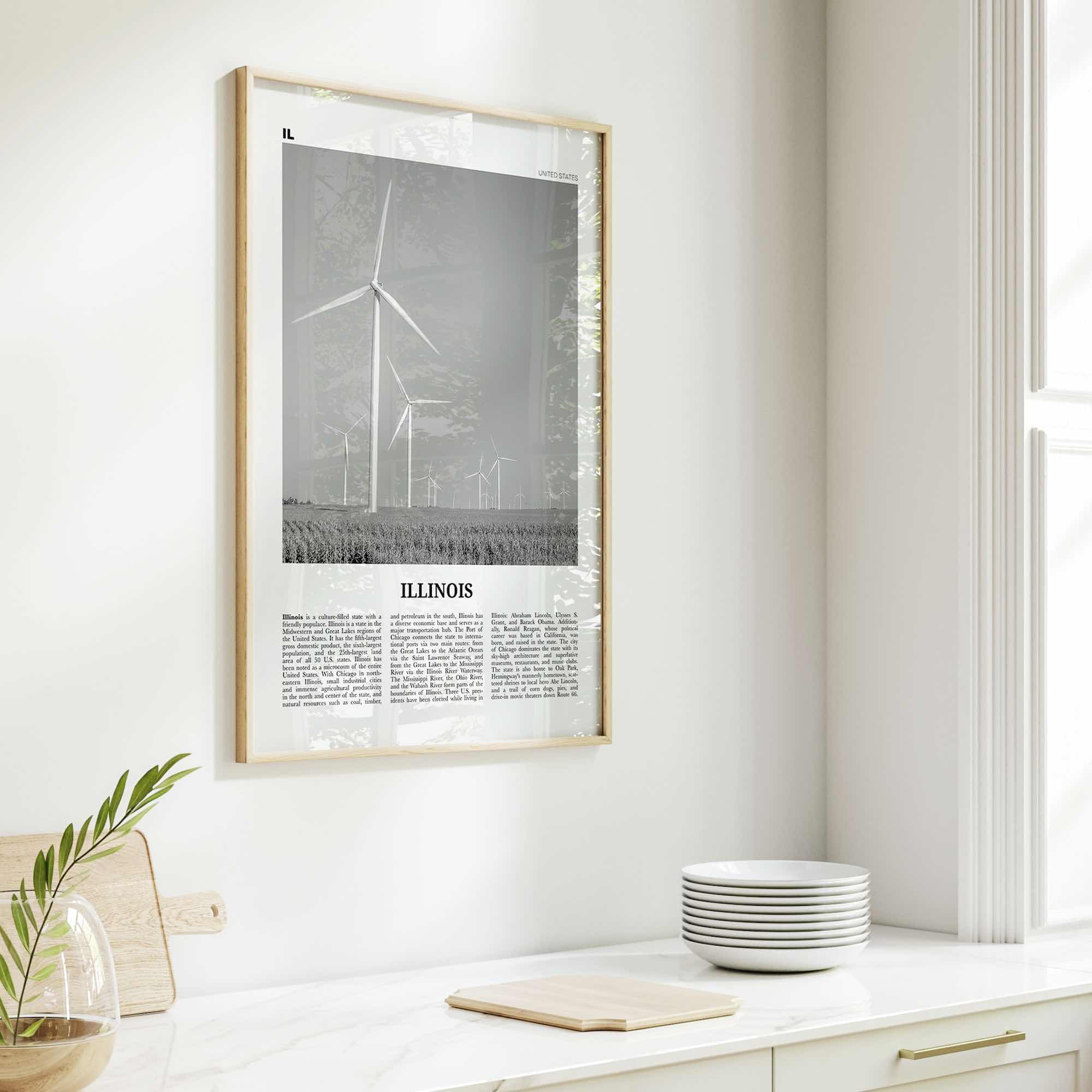 Illinois Print Black and White No 5, Illinois Wall Art, Illinois Poster, Illinois Photo, Illinois Wall Decor, USA, United States, America