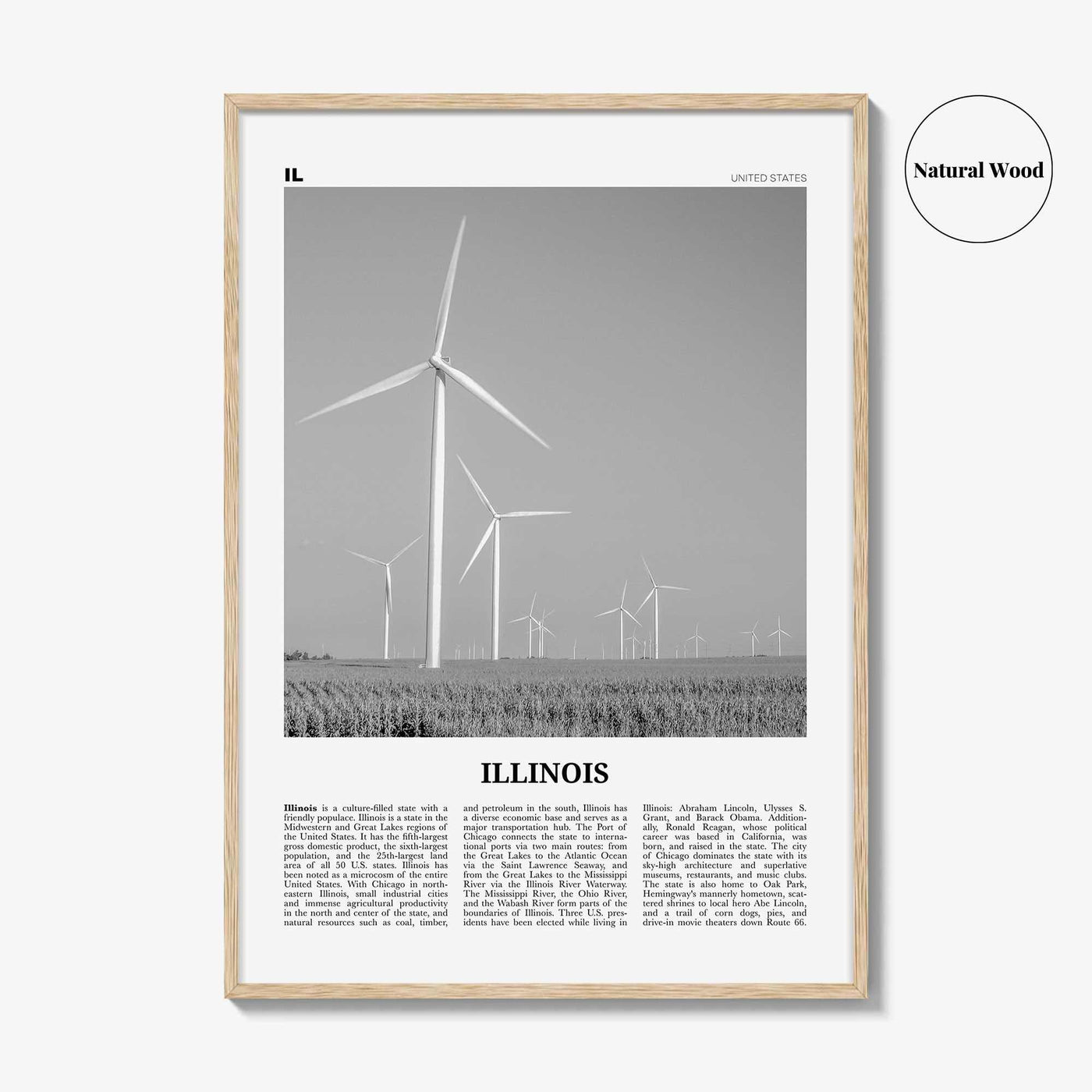 Illinois Print Black and White No 5, Illinois Wall Art, Illinois Poster, Illinois Photo, Illinois Wall Decor, USA, United States, America