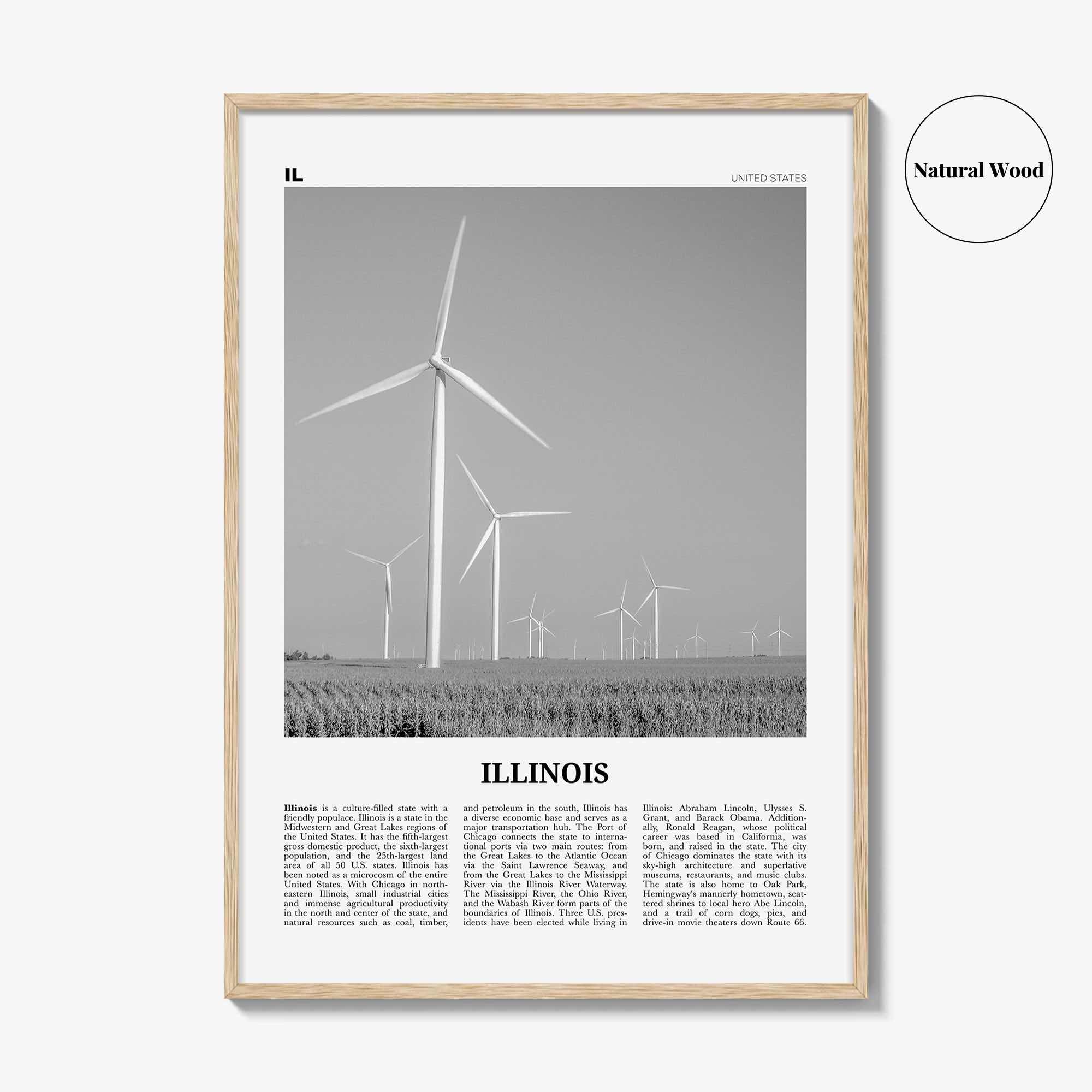 Illinois Print Black and White No 5, Illinois Wall Art, Illinois Poster, Illinois Photo, Illinois Wall Decor, USA, United States, America