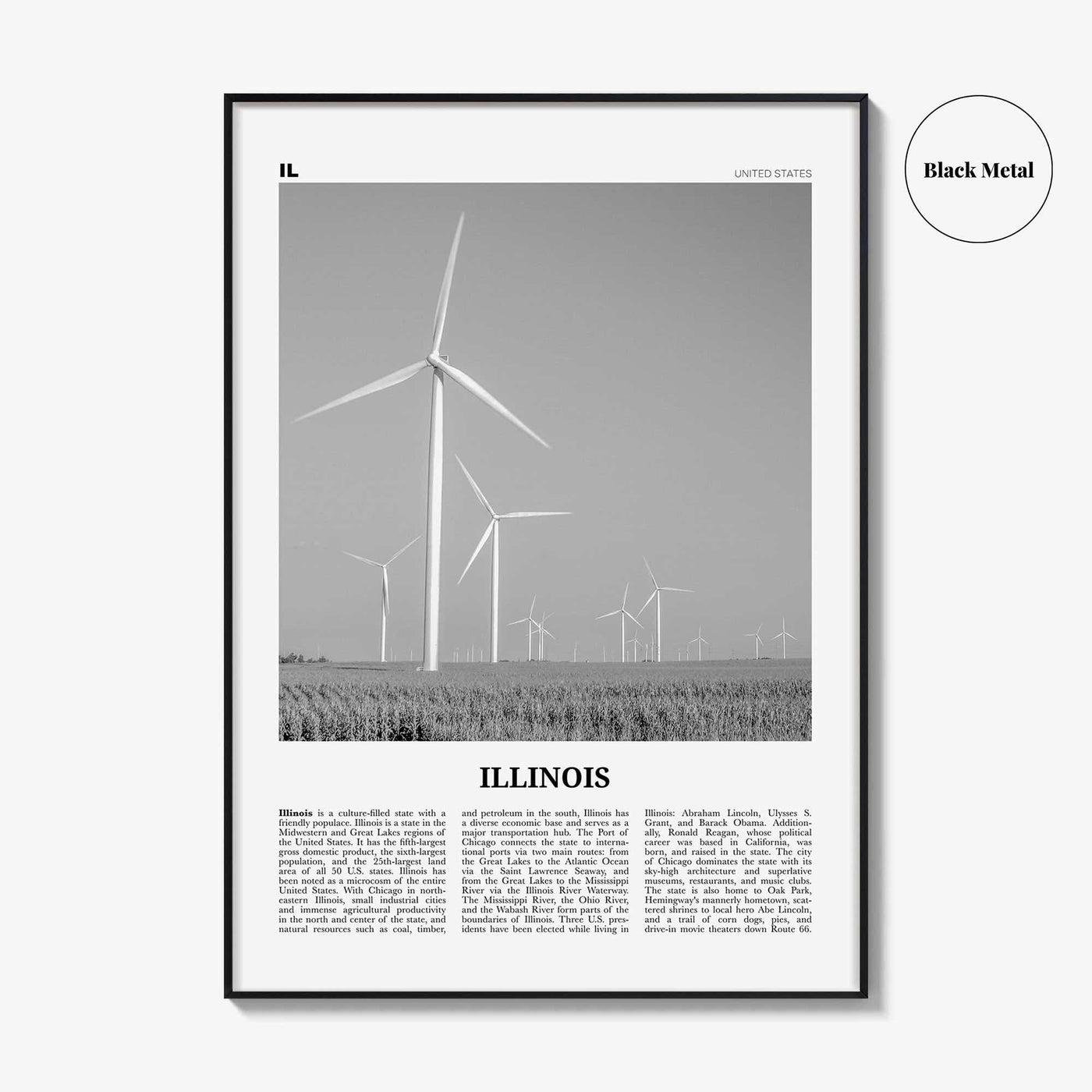 Illinois Print Black and White No 5, Illinois Wall Art, Illinois Poster, Illinois Photo, Illinois Wall Decor, USA, United States, America