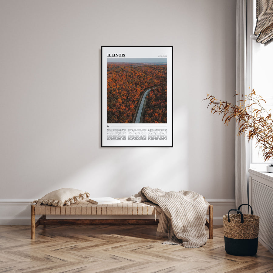 Illinois Travel Color No 3 Poster