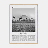 Indonesia Travel B&W No 1 Poster