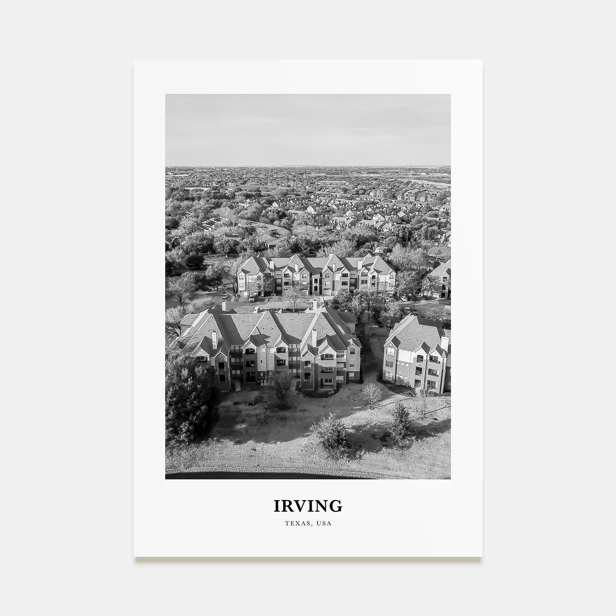 Irving Portrait B&W Poster