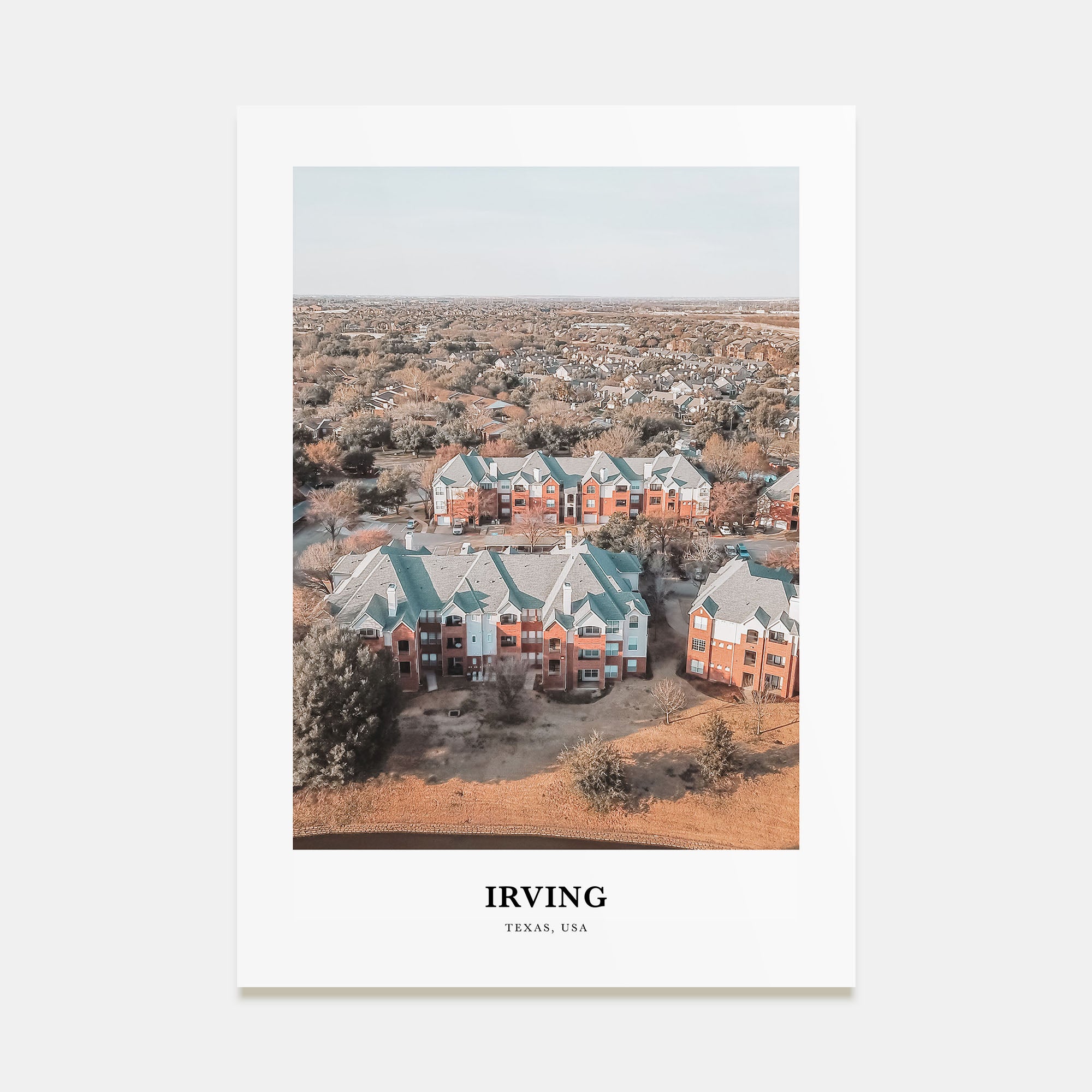 Irving Portrait Color Poster