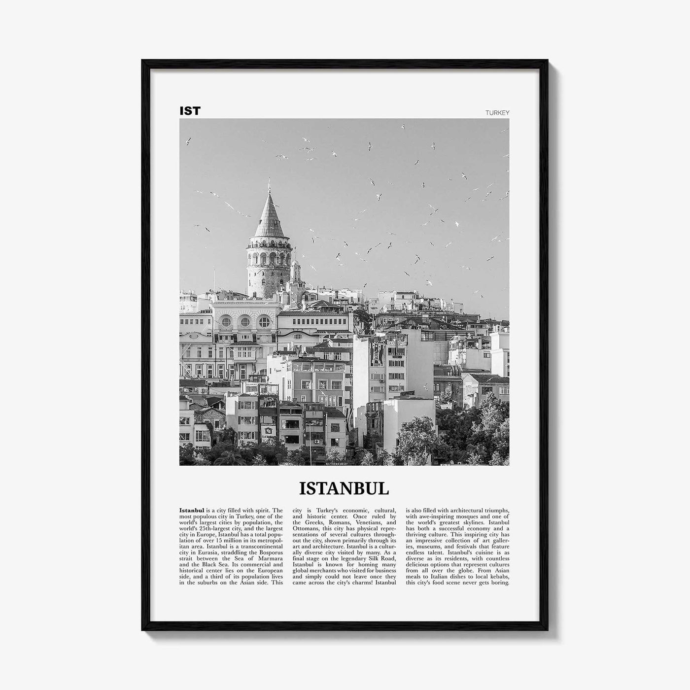 Istanbul Print Black and White No 2, Istanbul Wall Art, Istanbul Poster, Istanbul Photo, Turkey, İstanbul, Türkiye, Turkish