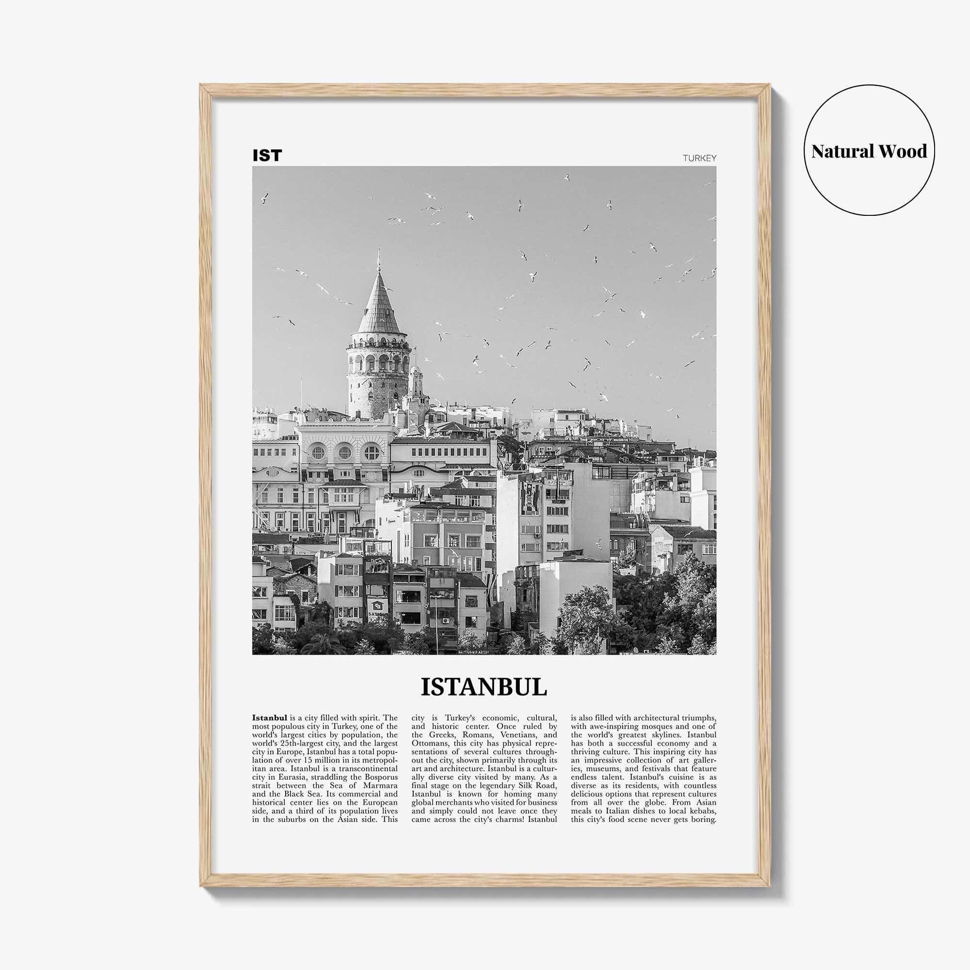 Istanbul Print Black and White No 2, Istanbul Wall Art, Istanbul Poster, Istanbul Photo, Turkey, İstanbul, Türkiye, Turkish