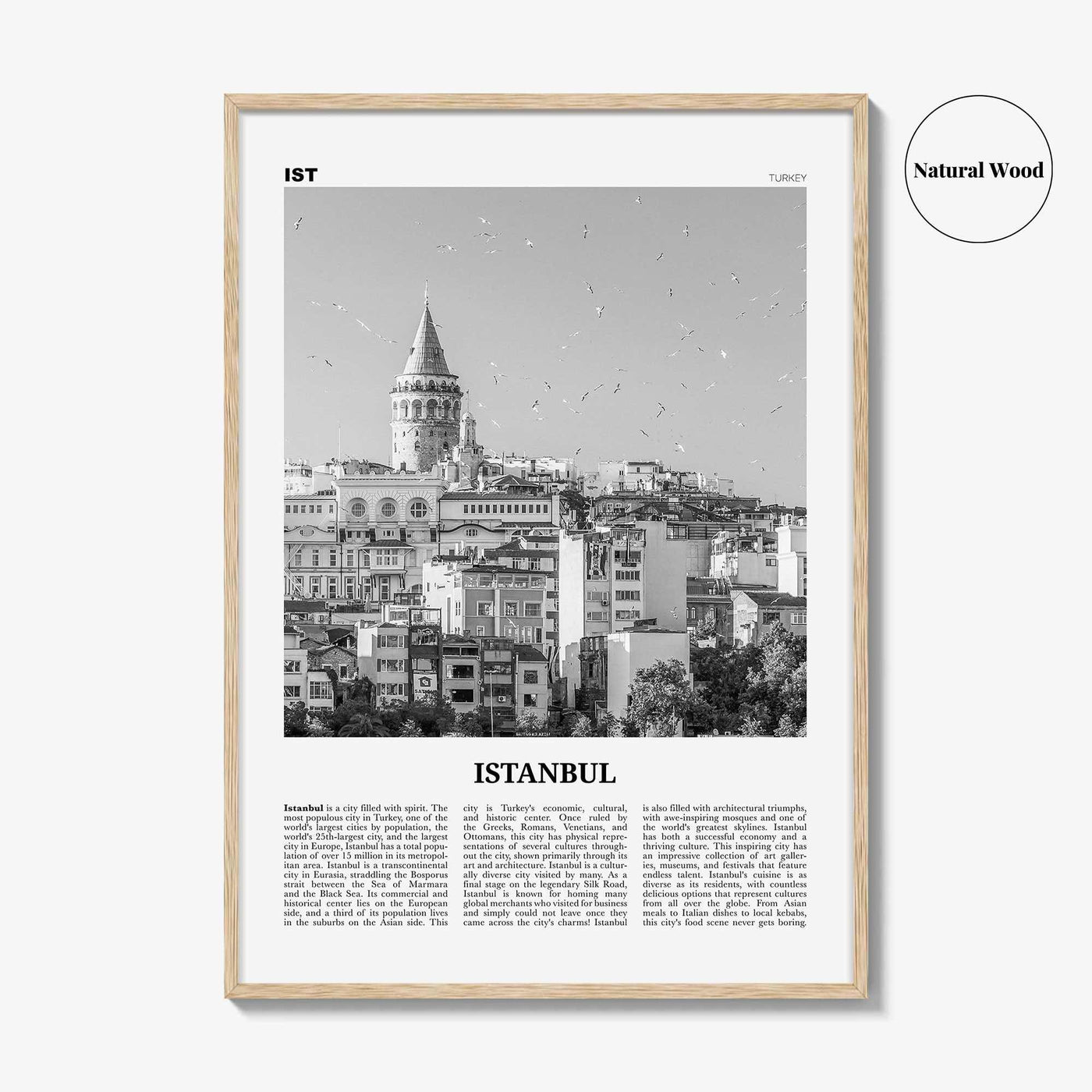 Istanbul Print Black and White No 2, Istanbul Wall Art, Istanbul Poster, Istanbul Photo, Turkey, İstanbul, Türkiye, Turkish