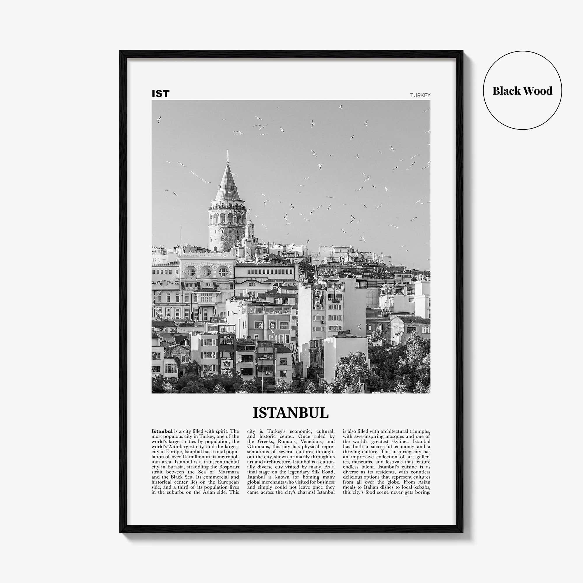 Istanbul Print Black and White No 2, Istanbul Wall Art, Istanbul Poster, Istanbul Photo, Turkey, İstanbul, Türkiye, Turkish