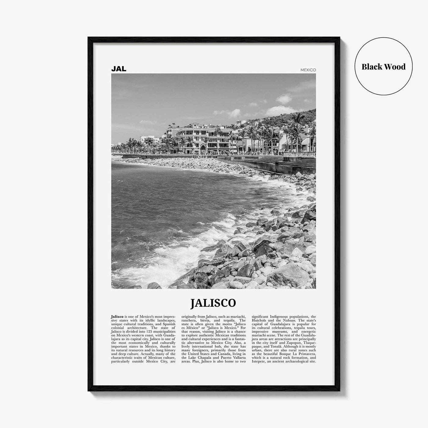 Jalisco Print Black and White No 1, Jalisco Wall Art, Jalisco Poster, Jalisco Photo, Jalisco Decor, Guadalajara, Puerto Vallarta, México