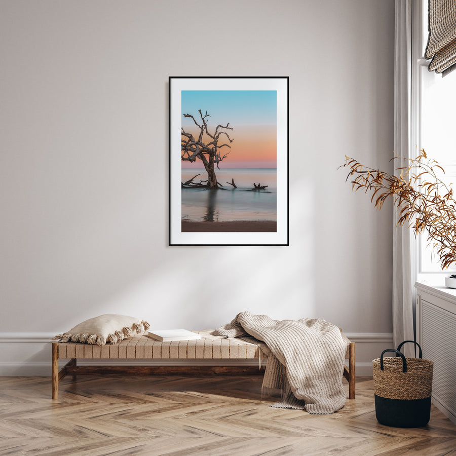 Jekyll Island Photo Color Poster