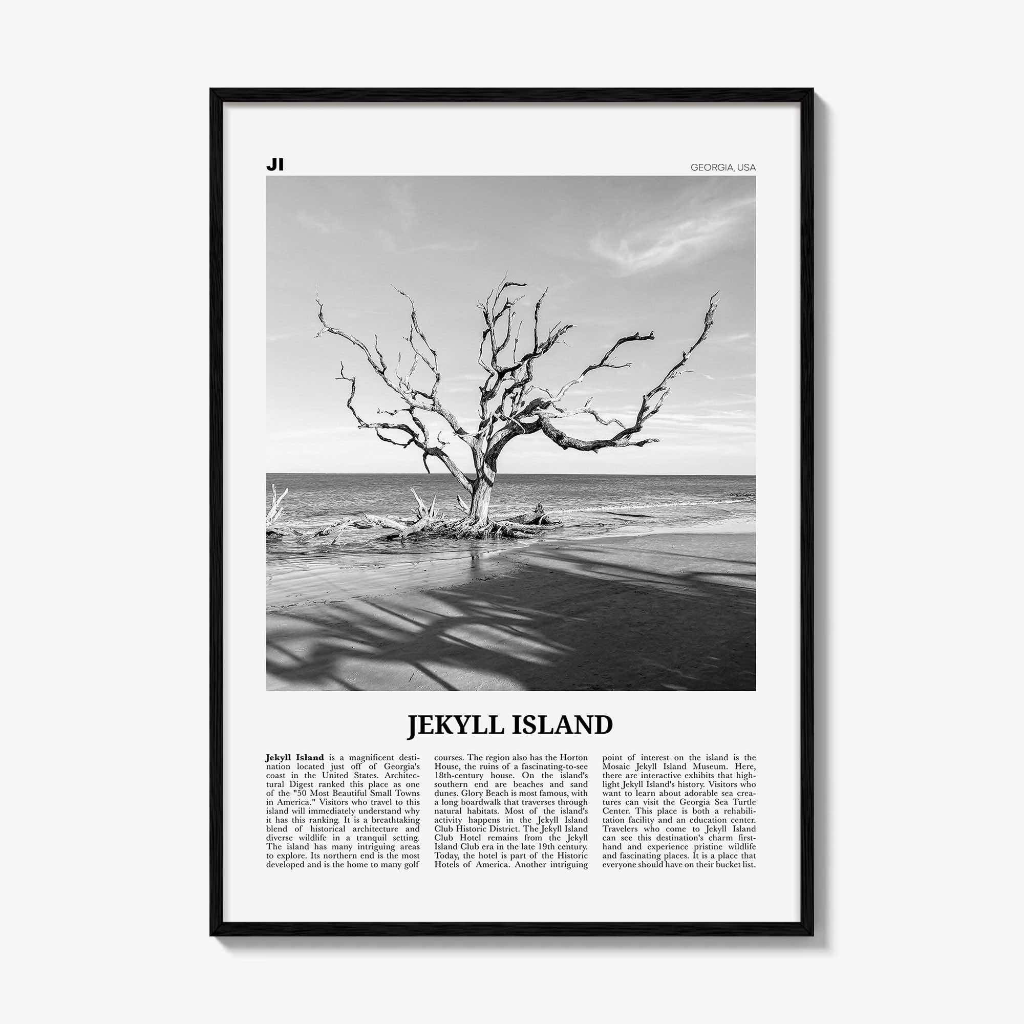 Jekyll Island Print Black and White, Jekyll Island Wall Art, Jekyll Island Poster, Jekyll Island Photo, Georgia, USA, United States