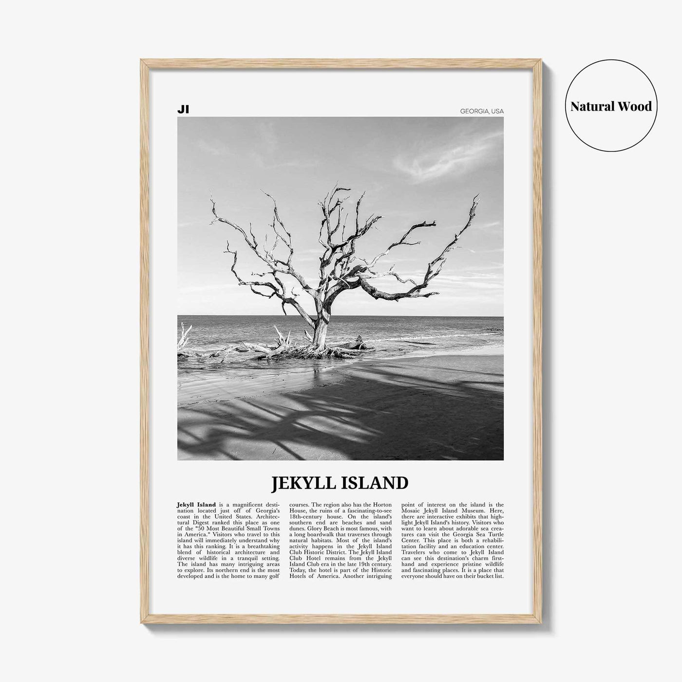 Jekyll Island Print Black and White, Jekyll Island Wall Art, Jekyll Island Poster, Jekyll Island Photo, Georgia, USA, United States