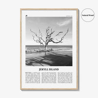 Jekyll Island Print Black and White, Jekyll Island Wall Art, Jekyll Island Poster, Jekyll Island Photo, Georgia, USA, United States