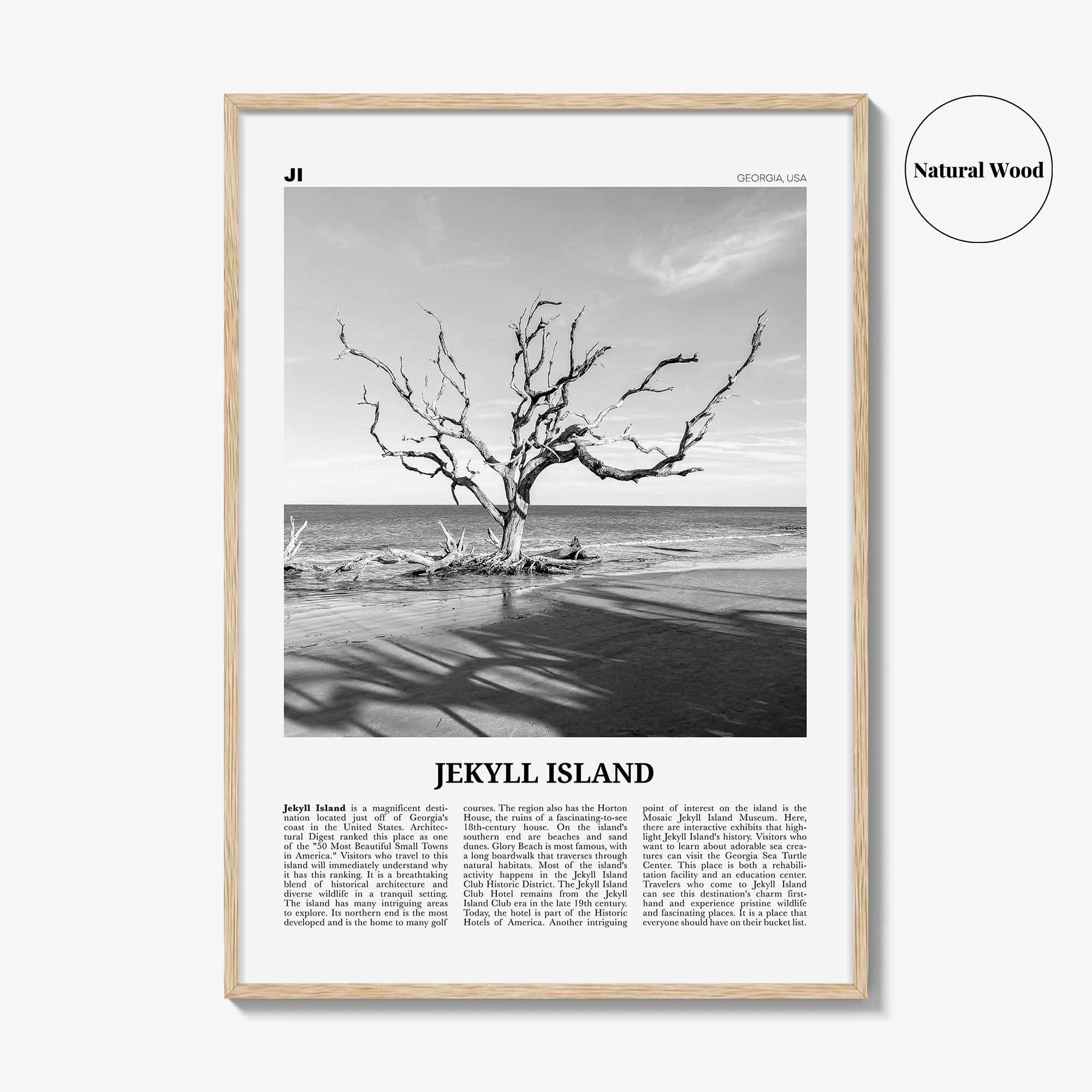 Jekyll Island Print Black and White, Jekyll Island Wall Art, Jekyll Island Poster, Jekyll Island Photo, Georgia, USA, United States
