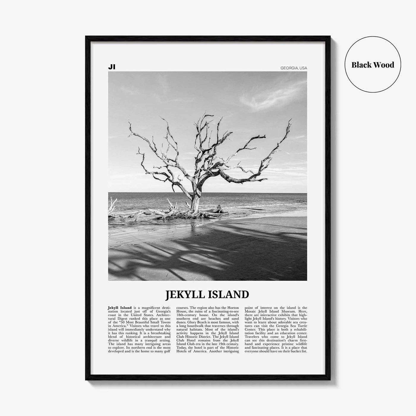 Jekyll Island Print Black and White, Jekyll Island Wall Art, Jekyll Island Poster, Jekyll Island Photo, Georgia, USA, United States