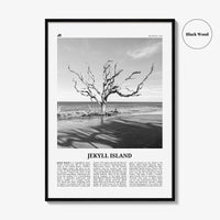 Jekyll Island Print Black and White, Jekyll Island Wall Art, Jekyll Island Poster, Jekyll Island Photo, Georgia, USA, United States