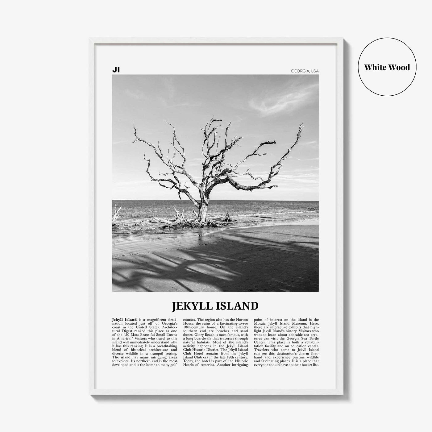 Jekyll Island Print Black and White, Jekyll Island Wall Art, Jekyll Island Poster, Jekyll Island Photo, Georgia, USA, United States
