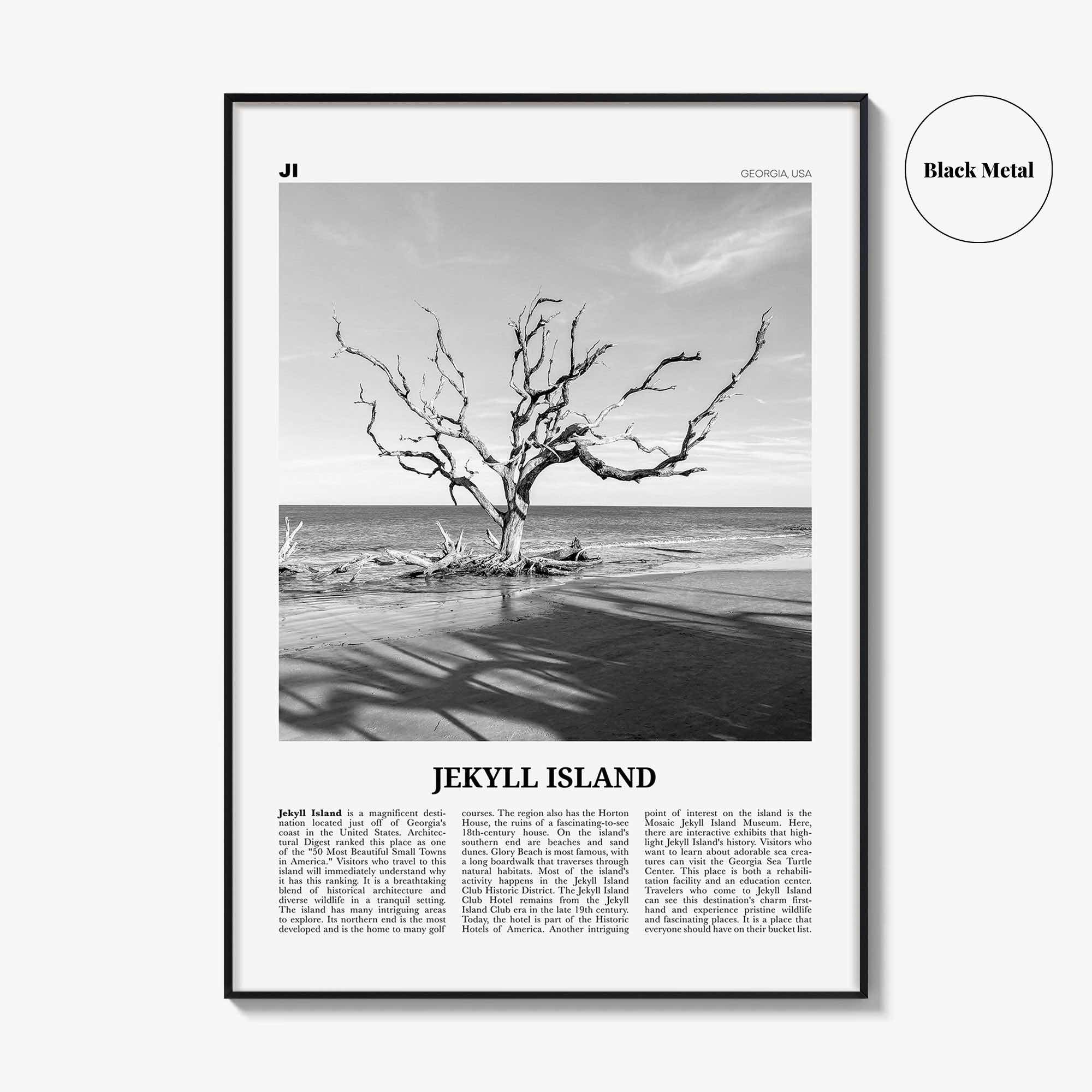 Jekyll Island Print Black and White, Jekyll Island Wall Art, Jekyll Island Poster, Jekyll Island Photo, Georgia, USA, United States