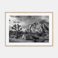 Joshua Tree National Park Landscape B&W No 1 Poster