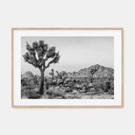 Joshua Tree National Park Landscape B&W No 2 Poster