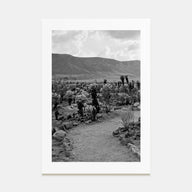 Joshua Tree National Park Photo B&W No 1 Poster