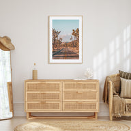 Joshua Tree National Park Photo Color No 2 Poster