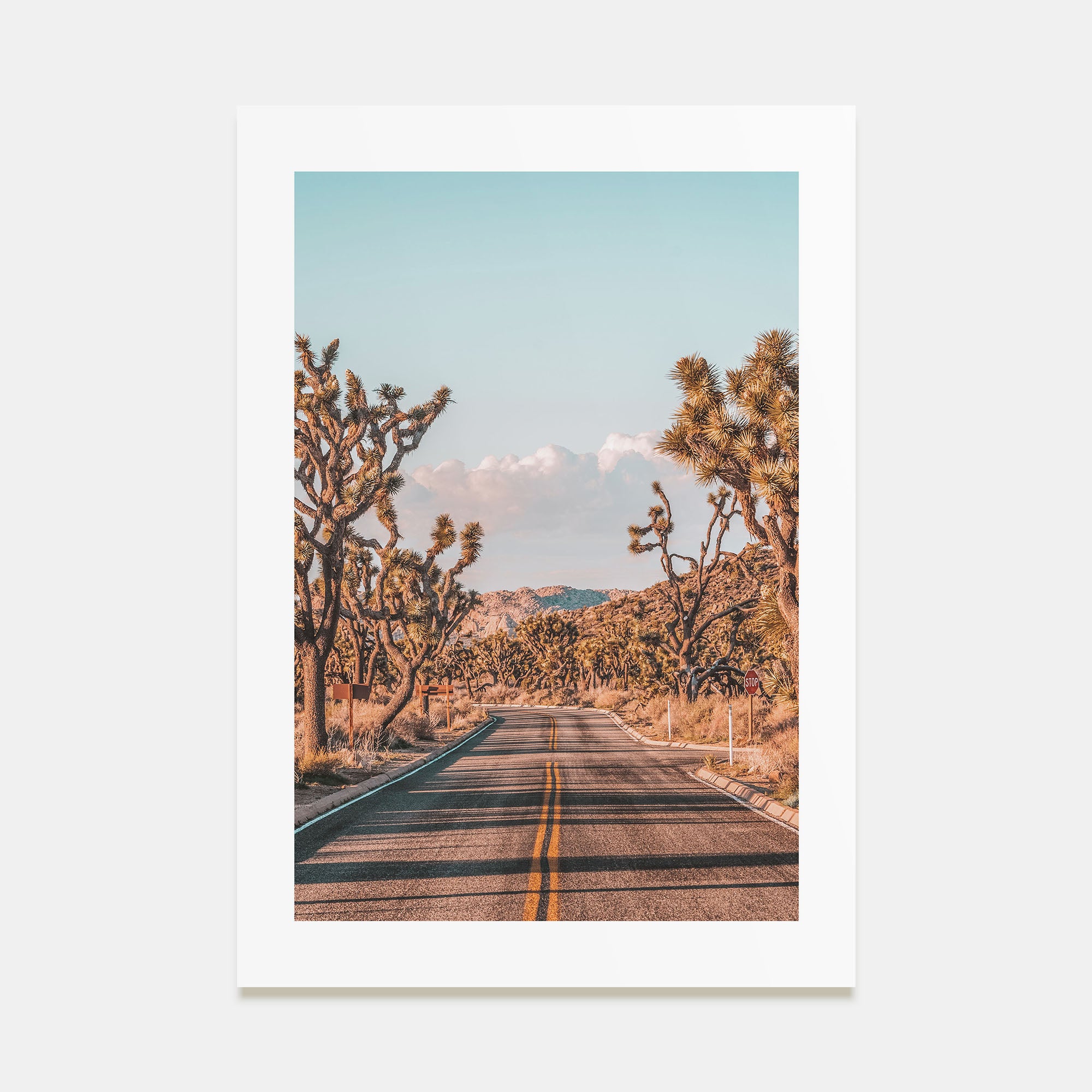 Joshua Tree National Park Photo Color No 2 Poster