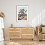 Joshua Tree National Park Photo Color No 4 Poster