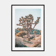 Joshua Tree National Park Photo Color No 4 Poster