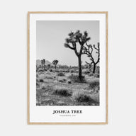 Joshua Tree National Park Portrait B&W No 1 Poster