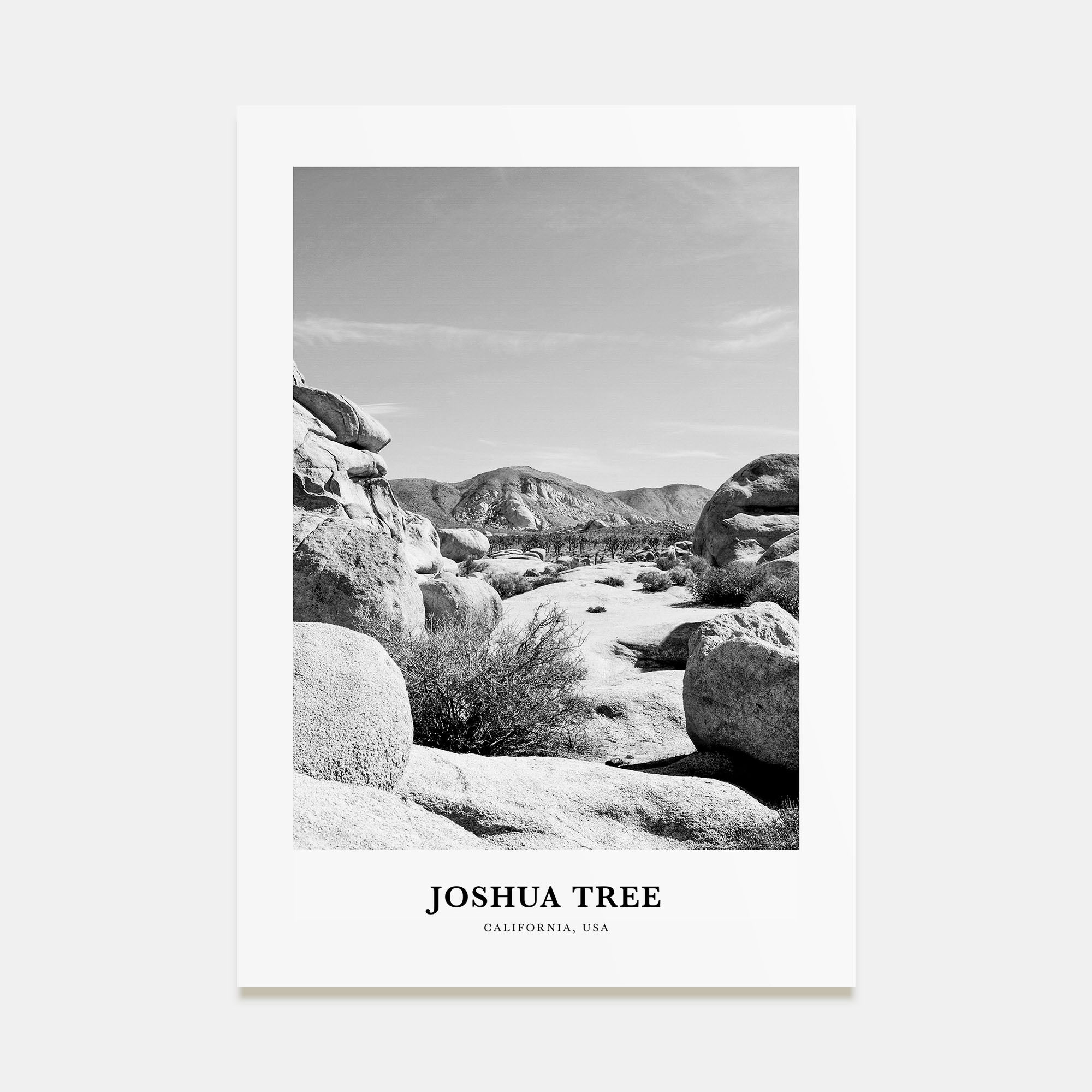 Joshua Tree National Park Portrait B&W No 2 Poster