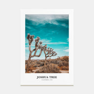 Joshua Tree National Park Portrait Color Poster