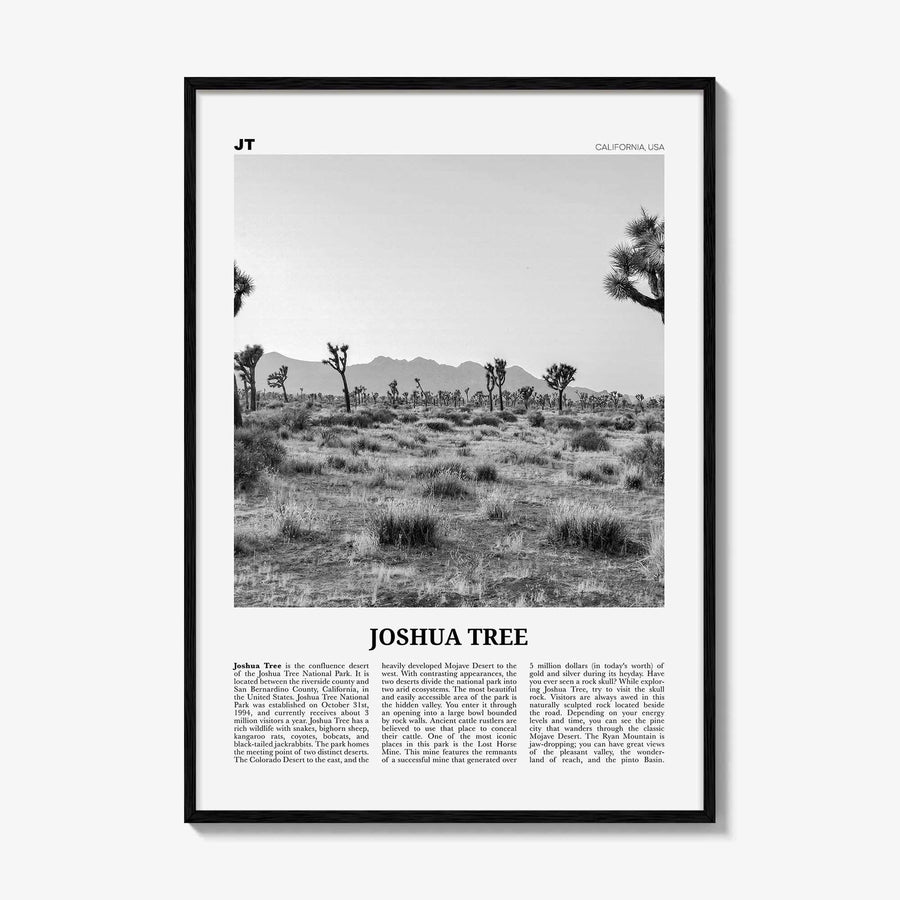 Joshua Tree National Park Print Black and White No 1, Joshua Tree Wall Art, Joshua Tree Poster, Joshua Tree Photo, California, USA