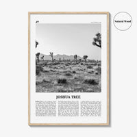 Joshua Tree National Park Print Black and White No 1, Joshua Tree Wall Art, Joshua Tree Poster, Joshua Tree Photo, California, USA