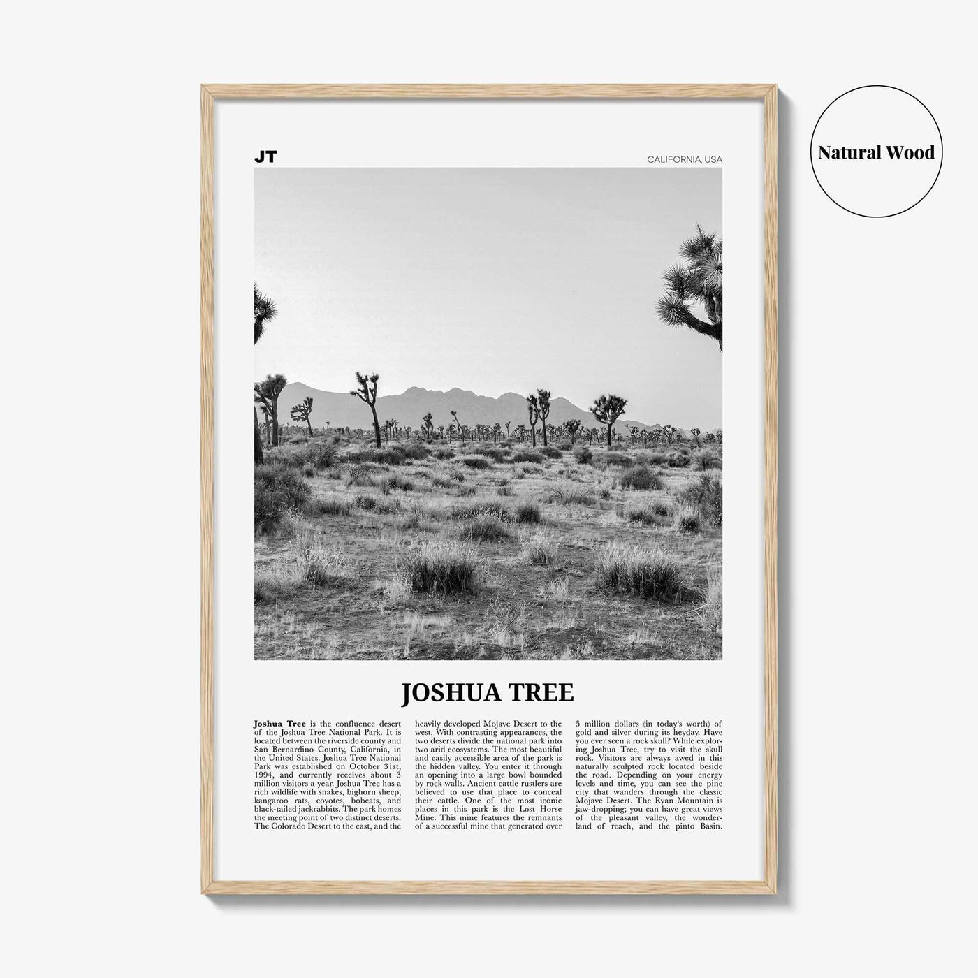 Joshua Tree National Park Print Black and White No 1, Joshua Tree Wall Art, Joshua Tree Poster, Joshua Tree Photo, California, USA
