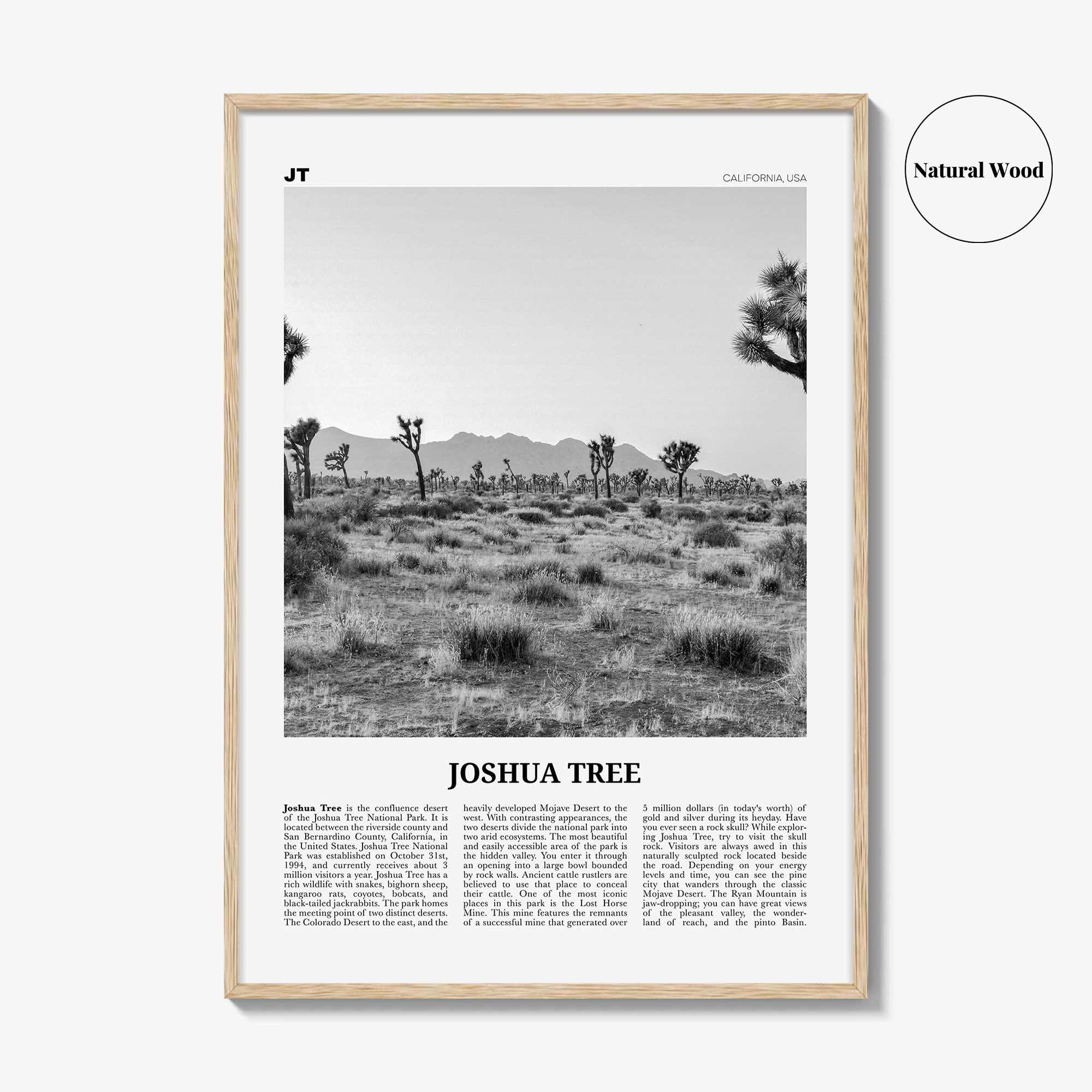 Joshua Tree National Park Print Black and White No 1, Joshua Tree Wall Art, Joshua Tree Poster, Joshua Tree Photo, California, USA