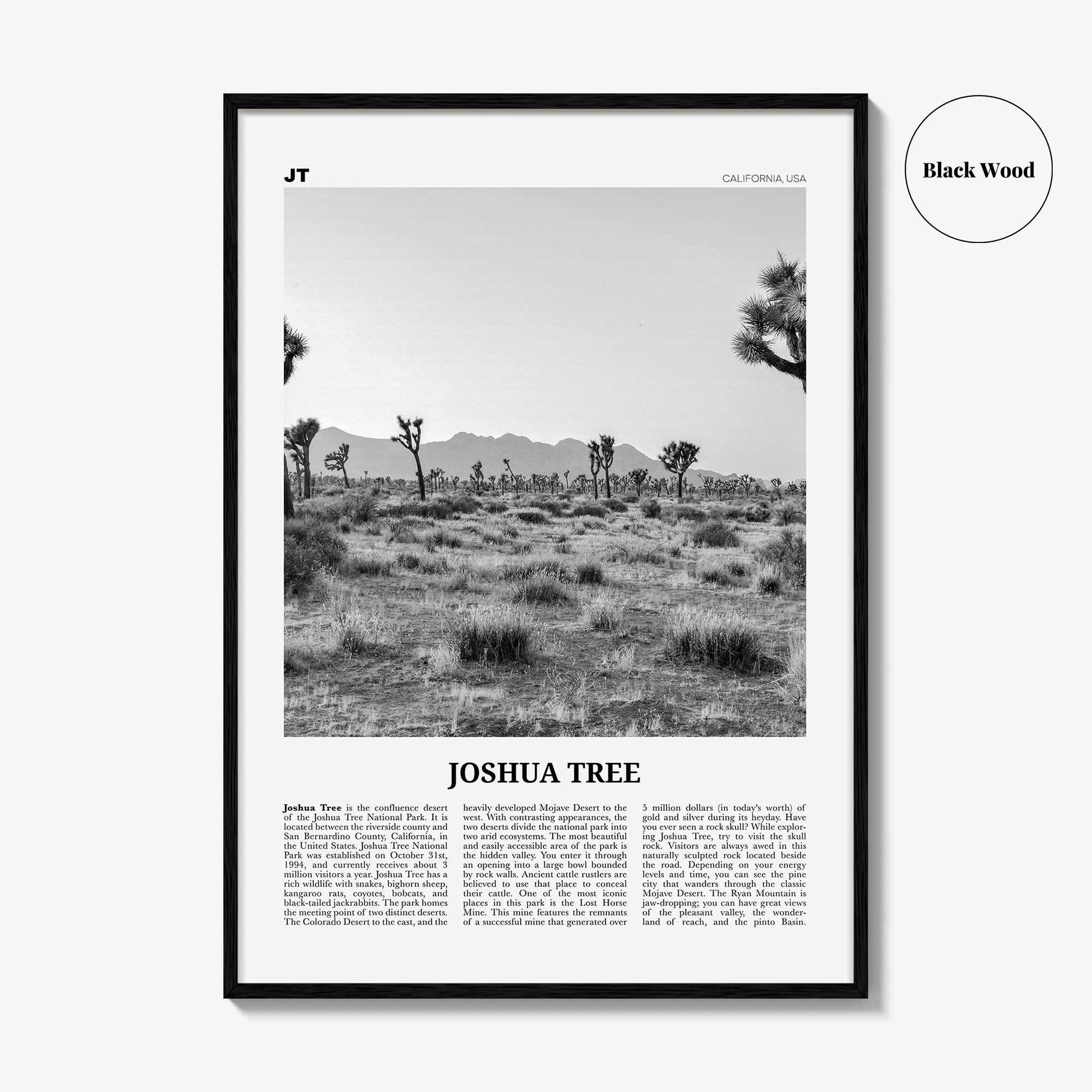 Joshua Tree National Park Print Black and White No 1, Joshua Tree Wall Art, Joshua Tree Poster, Joshua Tree Photo, California, USA