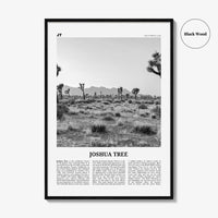 Joshua Tree National Park Print Black and White No 1, Joshua Tree Wall Art, Joshua Tree Poster, Joshua Tree Photo, California, USA