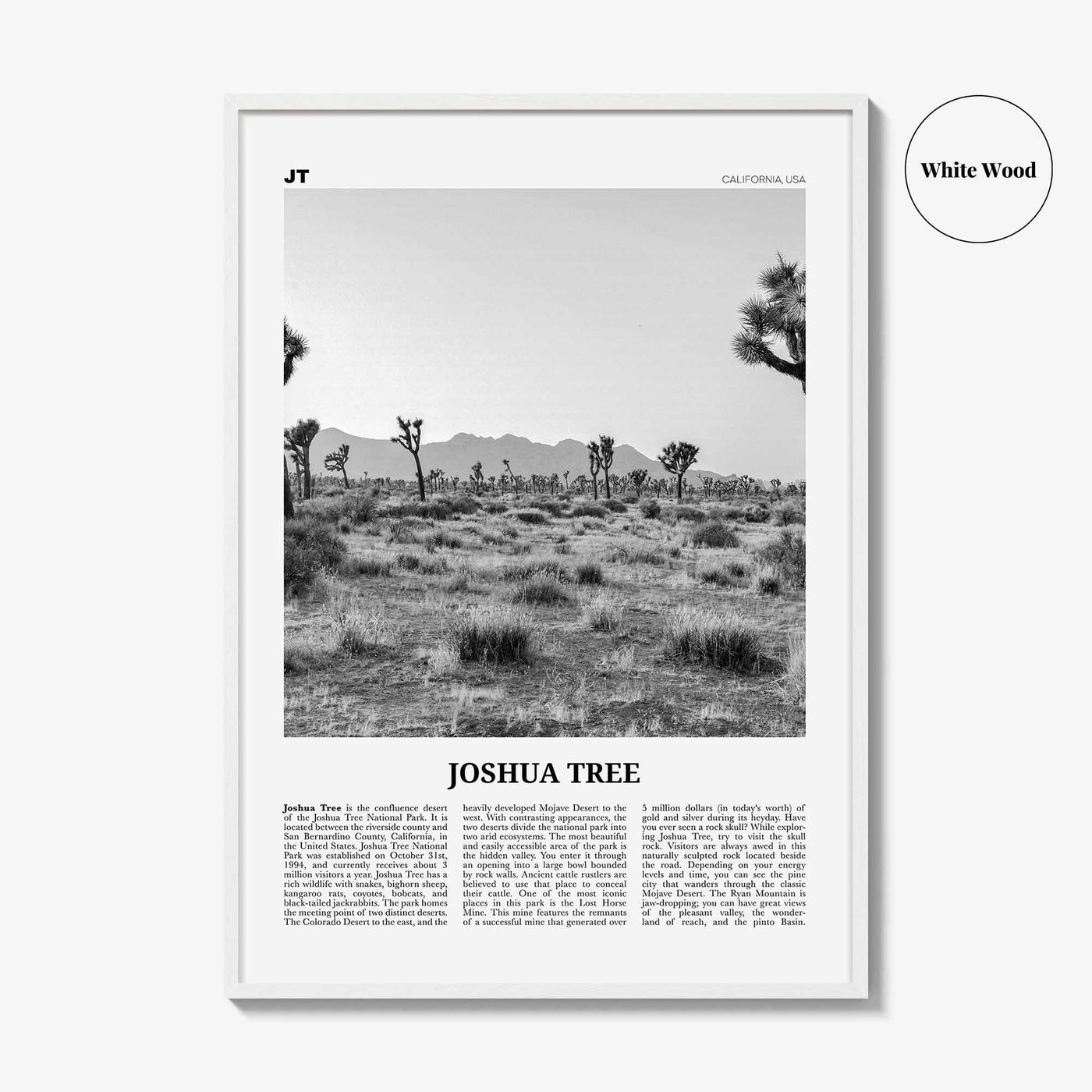 Joshua Tree National Park Print Black and White No 1, Joshua Tree Wall Art, Joshua Tree Poster, Joshua Tree Photo, California, USA