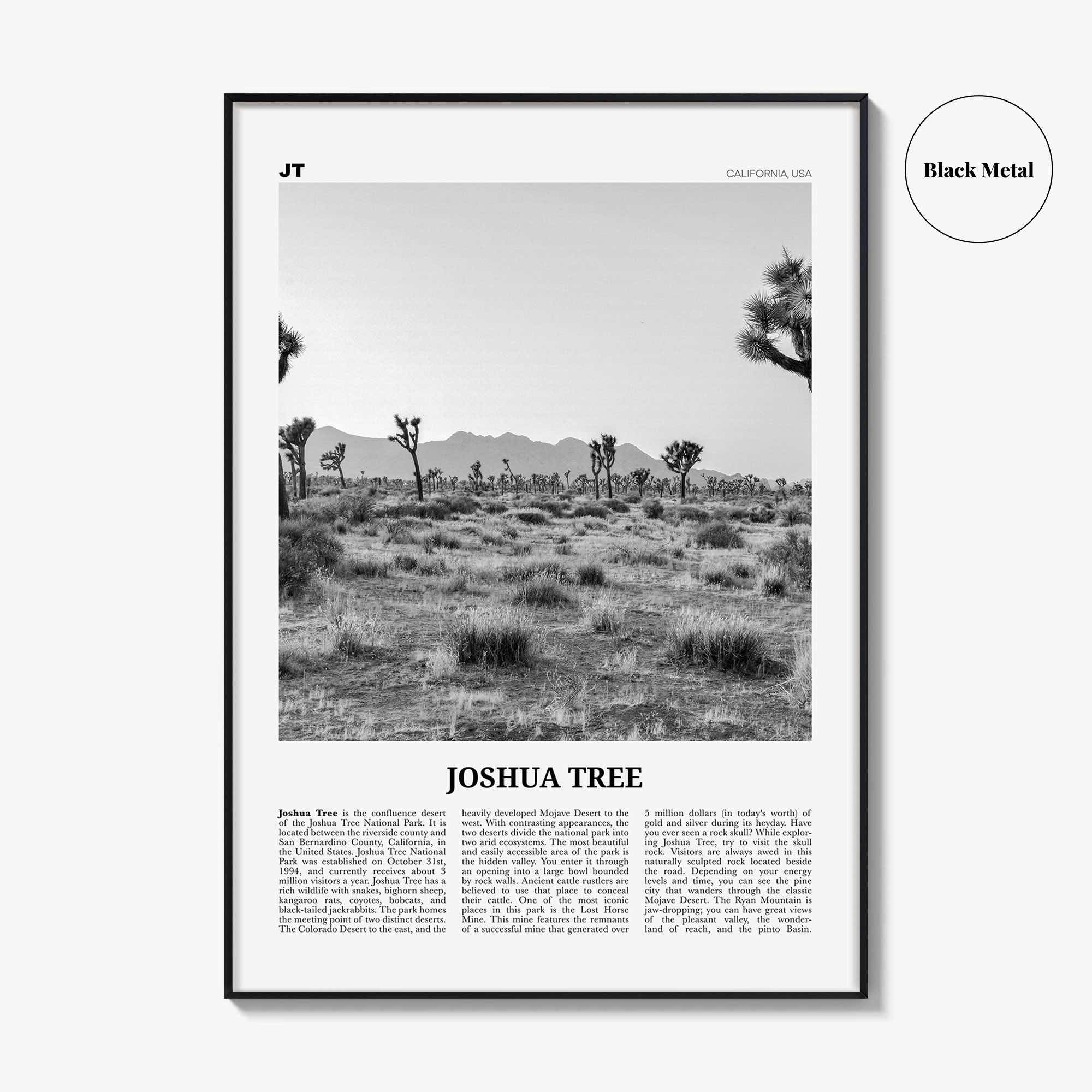 Joshua Tree National Park Print Black and White No 1, Joshua Tree Wall Art, Joshua Tree Poster, Joshua Tree Photo, California, USA